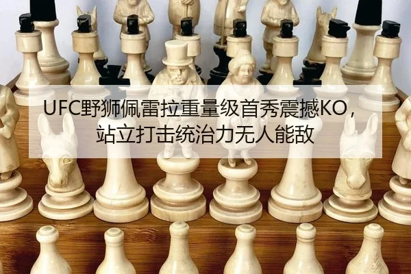 ye-shi-pei-lei-la-zhong-liang-ji-shou-xiu-zhen-han-zhan-li-da-ji-tong-zhi-li-wu-ren-neng-di-2-911.jpg