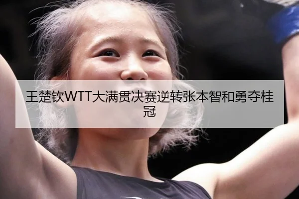 wang-chu-qin-da-man-guan-jue-sai-ni-zhuan-zhang-ben-zhi-he-yong-duo-gui-guan-2-442.jpg