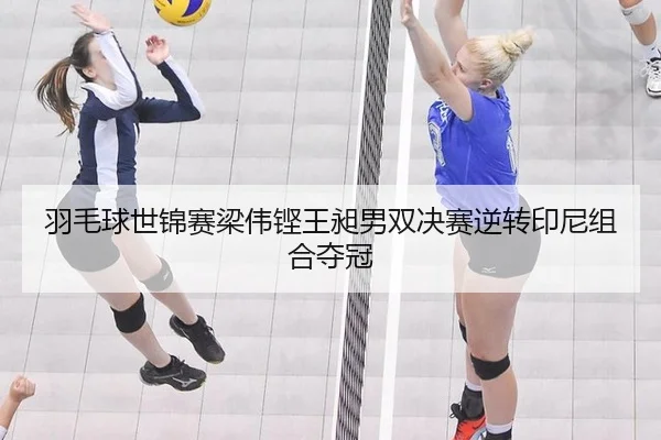 羽毛球世锦赛梁伟铿王昶男双决赛逆转印尼组合夺冠