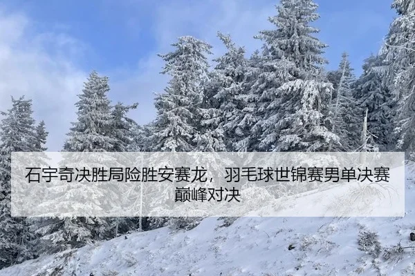 shi-yu-qi-jue-sheng-ju-xian-sheng-an-sai-long-yu-mao-qiu-shi-jin-sai-nan-dan-jue-sai-dian-feng-dui-jue-3-959.jpg