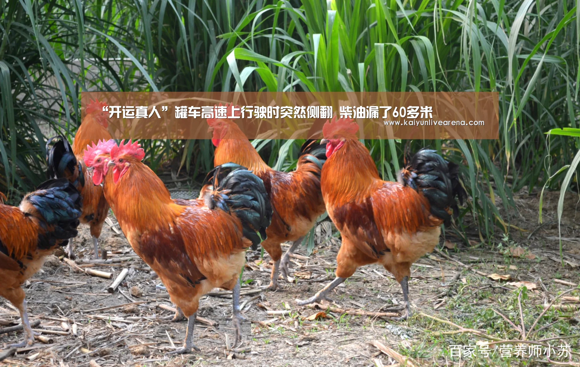 开运平台